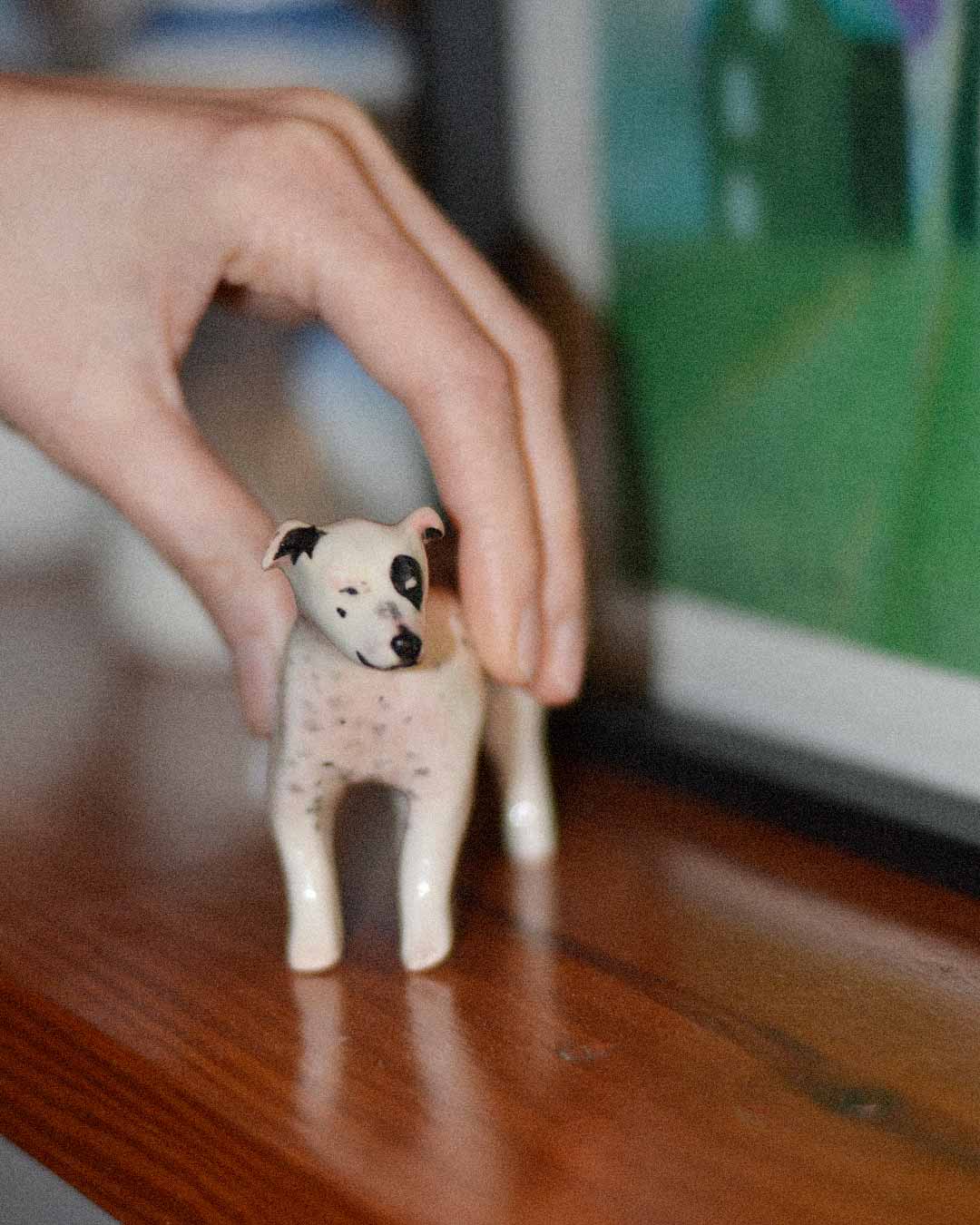 Mascotas personalizadas